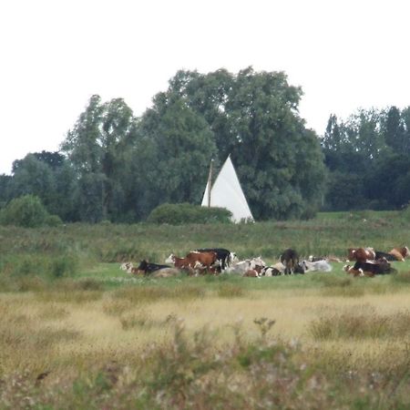 Charming Woodland Lodge 2 Person 1 Bedroom Great Yarmouth Luaran gambar